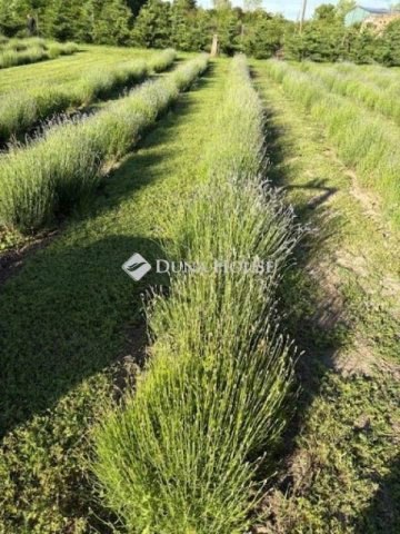 Eladó ipari ingatlan, Pécsváradon 120 M Ft / költözzbe.hu