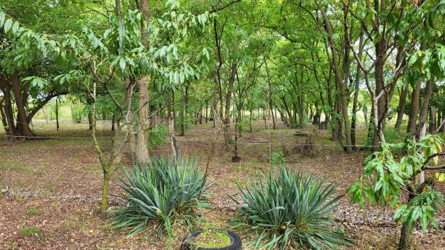 Eladó ipari ingatlan, Kisteleken 120 M Ft / költözzbe.hu