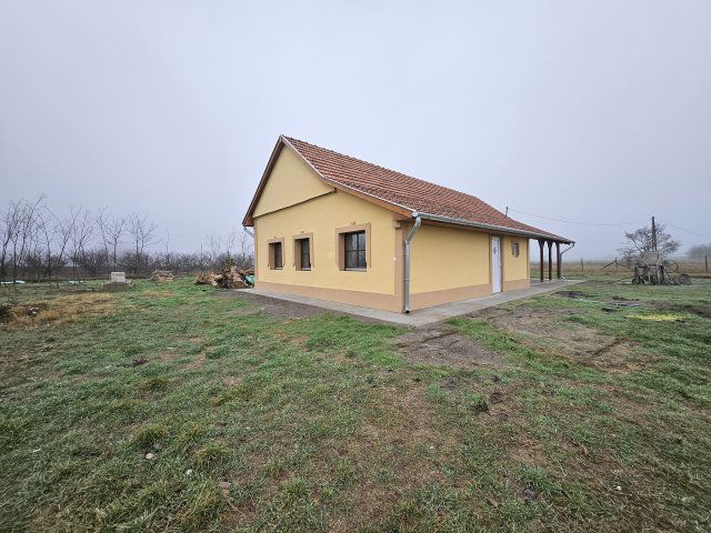 Eladó mezogazdasagi ingatlan, Szatymazon 30 M Ft