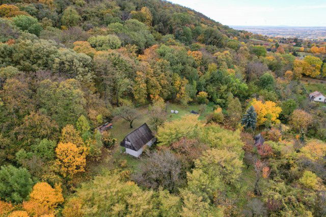 Eladó telek, Bajon 28.5 M Ft / költözzbe.hu