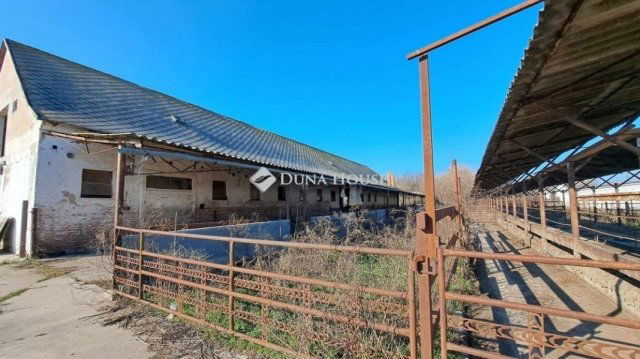 Eladó mezogazdasagi ingatlan, Hódmezővásárhelyen 59.9 M Ft