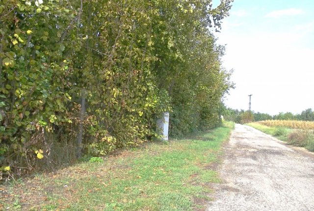 Eladó telek, Kápolnásnyéken 25 M Ft / költözzbe.hu