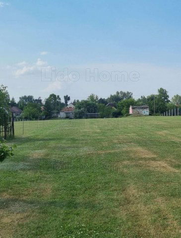 Eladó telek, Zamárdiban 30 M Ft / költözzbe.hu