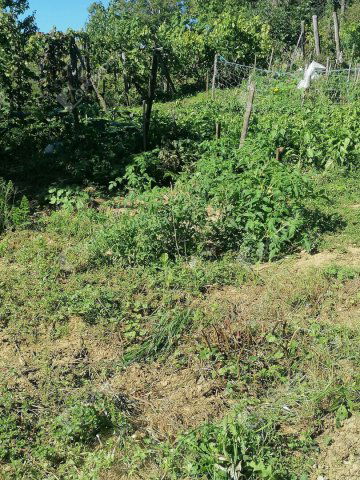 Eladó nyaraló, Nagykapornakon 9.9 M Ft, 1 szobás