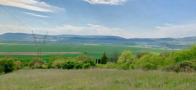 Eladó mezogazdasagi ingatlan, Héregen 9.5 M Ft