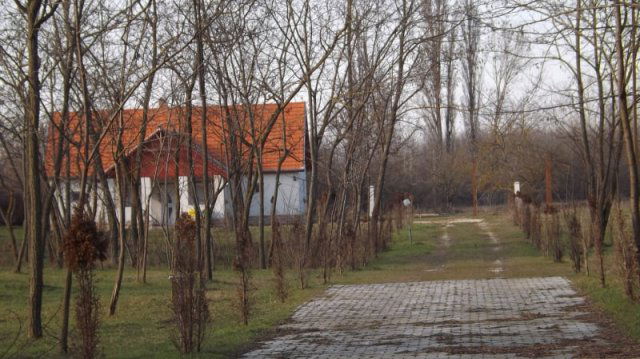 Eladó mezogazdasagi ingatlan, Táborfalván 39.99 M Ft