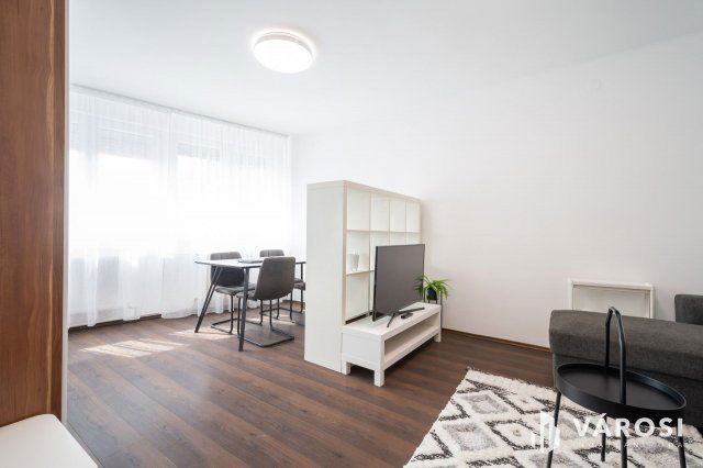 Kiadó téglalakás, albérlet, Budapesten, VI. kerületben