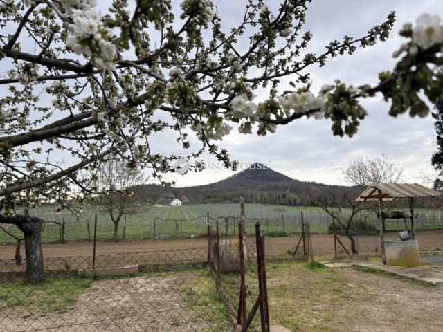 Eladó családi ház, Káptalantótin 77 M Ft, 3 szobás