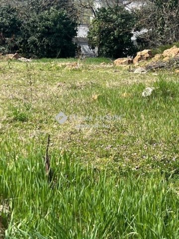 Eladó telek, Budapesten, II. kerületben 335 M Ft