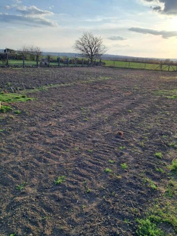 Eladó telek, Siófokon 17 M Ft / költözzbe.hu