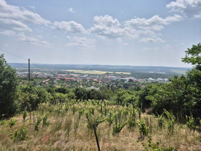 Eladó telek, Pécsett, Rizling dűlőn 4.9 M Ft