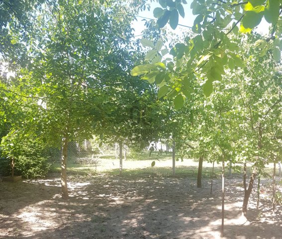 Eladó telek, Szekszárdon, Bezerédj utcában 20 M Ft