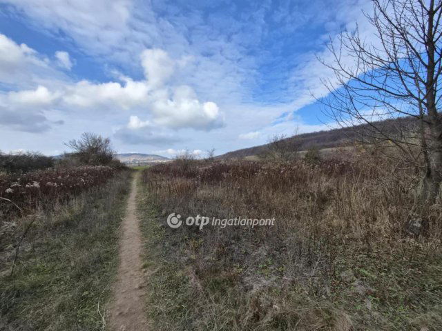 Eladó telek, Nagykovácsiban 34.5 M Ft / költözzbe.hu
