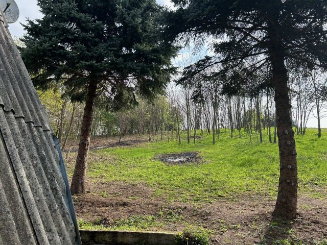 Eladó nyaraló, Homokkomáromon 14.5 M Ft, 3 szobás