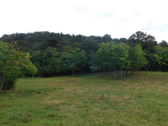 Eladó telek, Vonyarcvashegyen 79.5 M Ft / költözzbe.hu