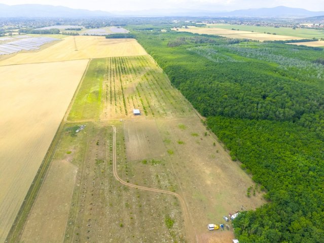 Eladó mezogazdasagi ingatlan, Sződön 149.9 M Ft