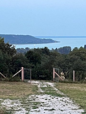 Eladó telek, Balatonalmádiban 79.9 M Ft / költözzbe.hu