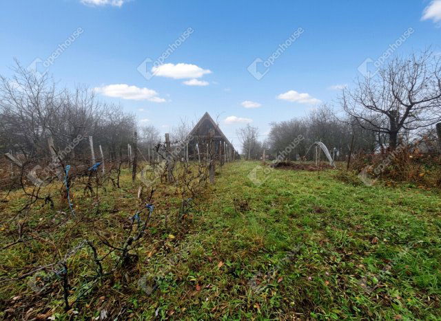 Eladó telek, Mályin 12 M Ft / költözzbe.hu