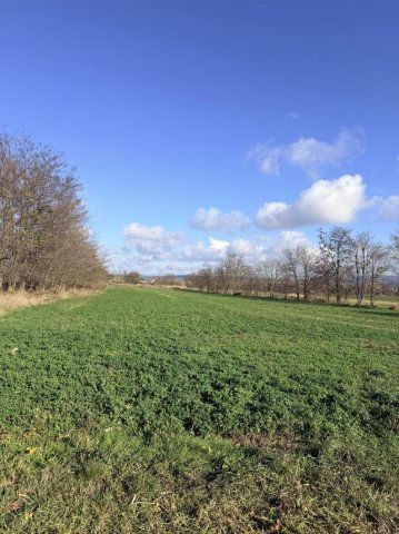 Kiadó mezogazdasagi ingatlan, Tatán 200 E Ft / hó