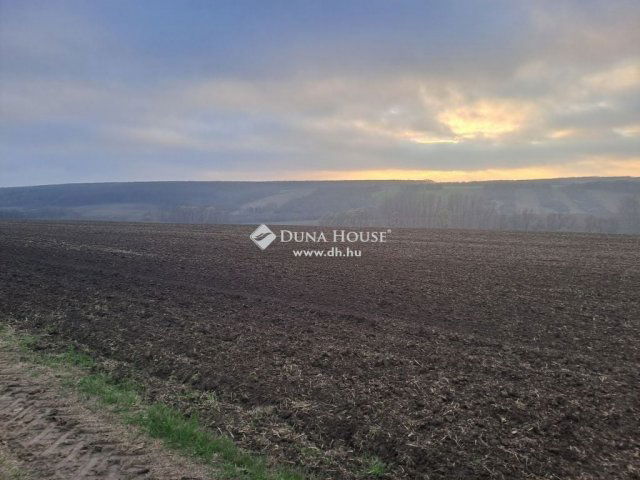 Eladó családi ház, Bedegkéren 54 M Ft, 3 szobás