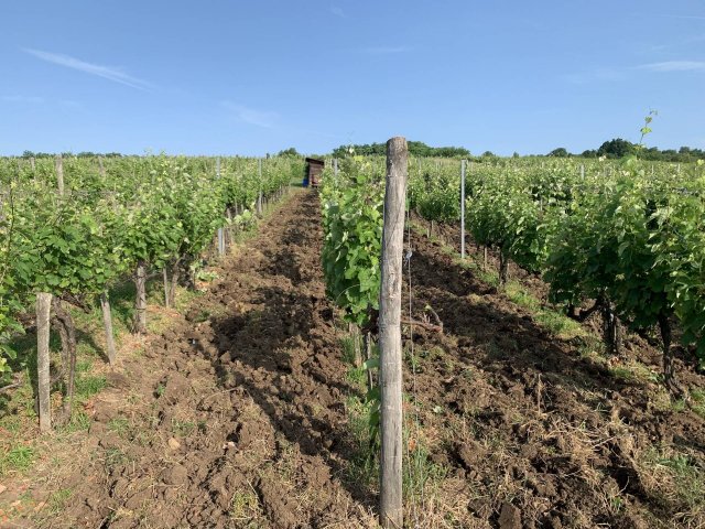 Eladó mezogazdasagi ingatlan, Rátkán 7.5 M Ft