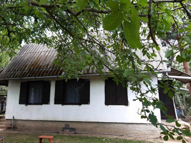 Eladó mezogazdasagi ingatlan, Szentesen 6.5 M Ft