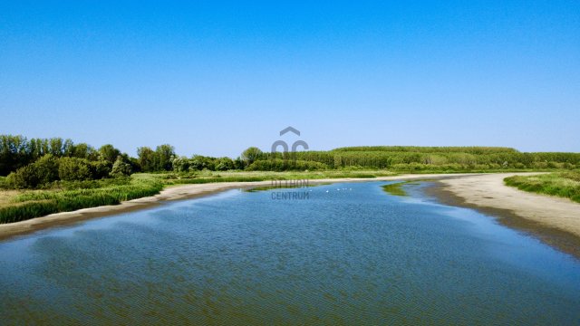 Eladó mezogazdasagi ingatlan, Csongrádon 105 M Ft