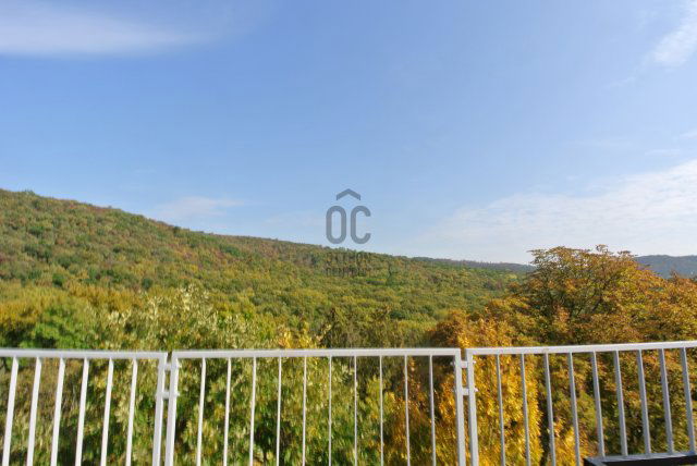Eladó téglalakás, Budapesten, II. kerületben 470 M Ft, 4 szobás