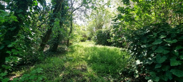 Eladó telek, Érden 69.5 M Ft / költözzbe.hu