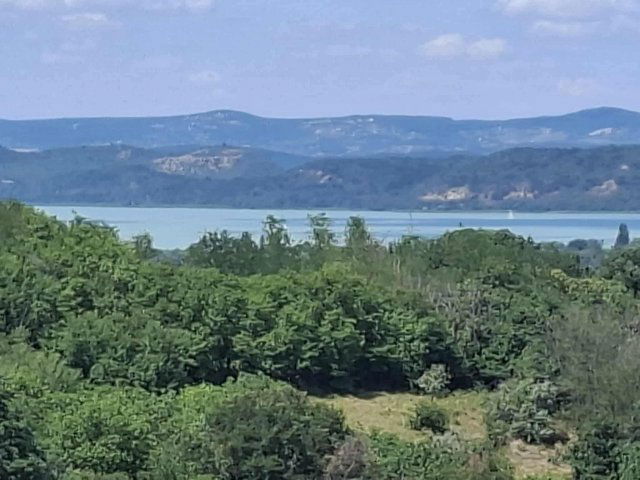 Eladó telek, Kőröshegyen 59 M Ft / költözzbe.hu