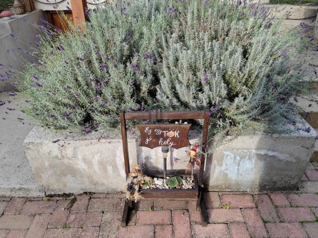 Eladó családi ház, Tápiószelén 64.9 M Ft, 4 szobás