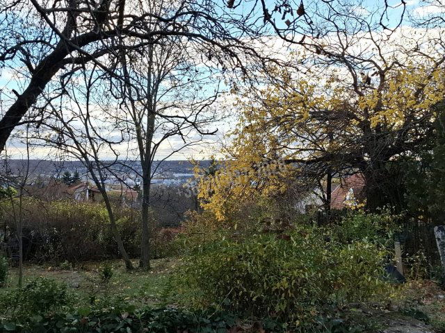 Eladó telek, Budaörsön, Naphegy utcában 110 M Ft