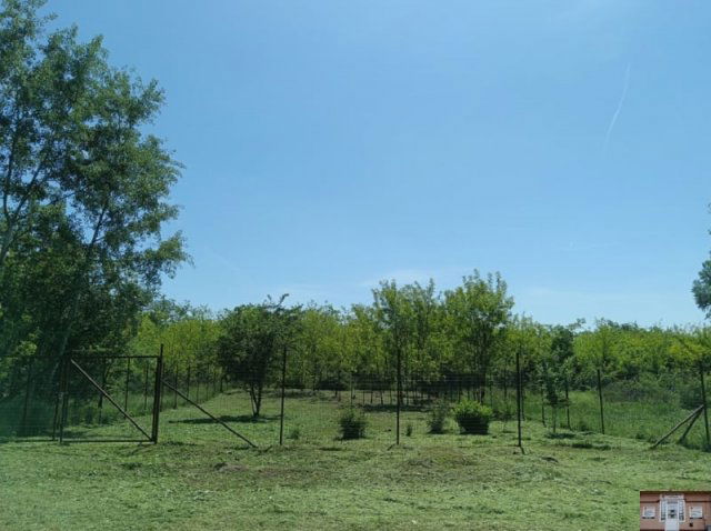 Eladó telek, Monorierdőn 9.9 M Ft / költözzbe.hu