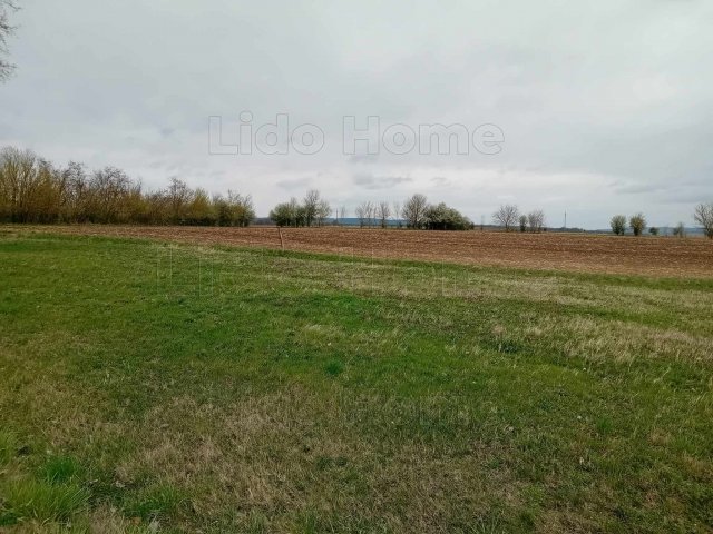 Eladó mezogazdasagi ingatlan, Balatonszárszón 17 M Ft