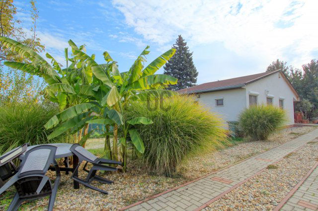 Eladó nyaraló, Velencén 53.5 M Ft, 4 szobás
