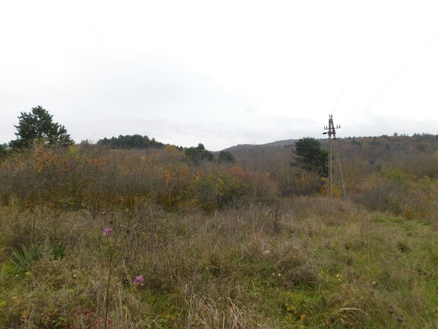 Eladó telek, Cserszegtomajon 11 M Ft / költözzbe.hu