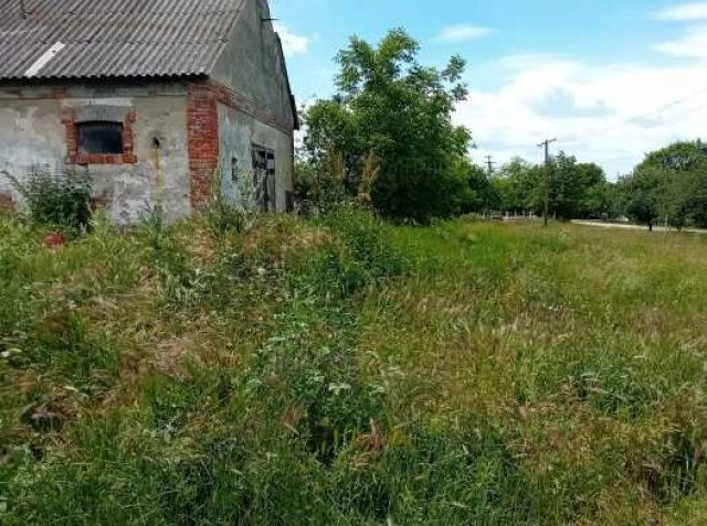 Eladó mezogazdasagi ingatlan, Zamárdiban 60 M Ft