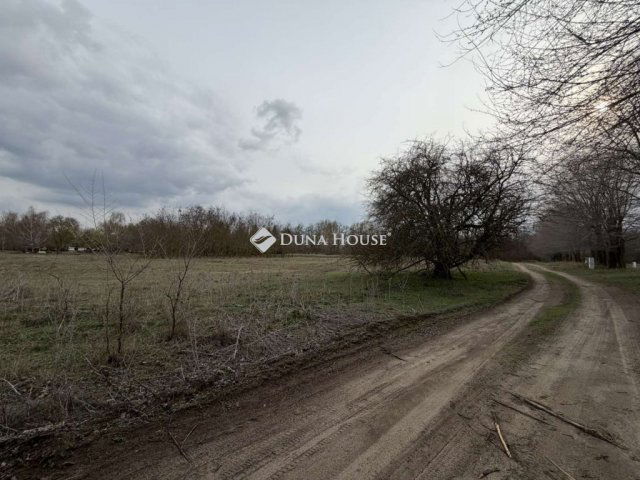 Eladó telek, Lajosmizsén 14.4 M Ft / költözzbe.hu