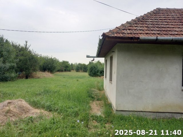 Eladó családi ház, Szeghalmon 4.6 M Ft, 1+2 szobás