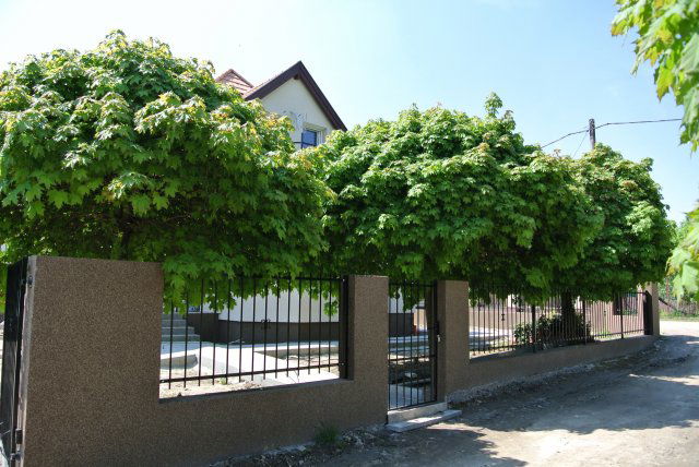 Eladó családi ház, Ráckevén 77.99 M Ft, 4 szobás