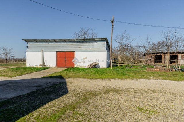 Eladó mezogazdasagi ingatlan, Délegyházán 139 M Ft