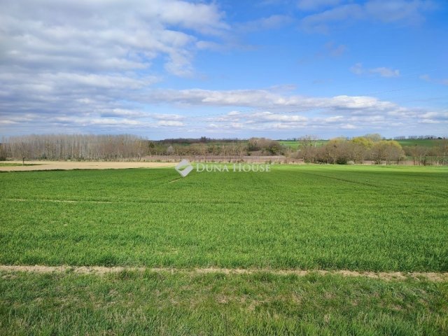 Eladó telek, Tápszentmiklóson 4.9 M Ft / költözzbe.hu