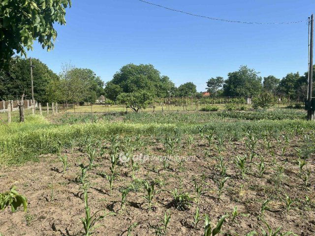 Eladó telek, Cegléden 19.8 M Ft / költözzbe.hu