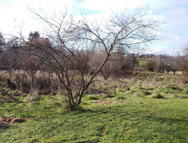 Eladó telek, Ajkán 55 M Ft / költözzbe.hu