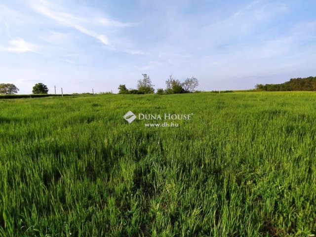 Eladó telek, Gombán 27.9 M Ft / költözzbe.hu