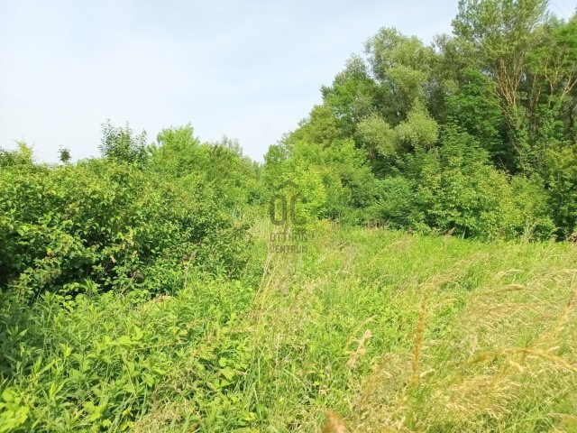 Eladó telek, Zalaszentgróton 6.5 M Ft / költözzbe.hu