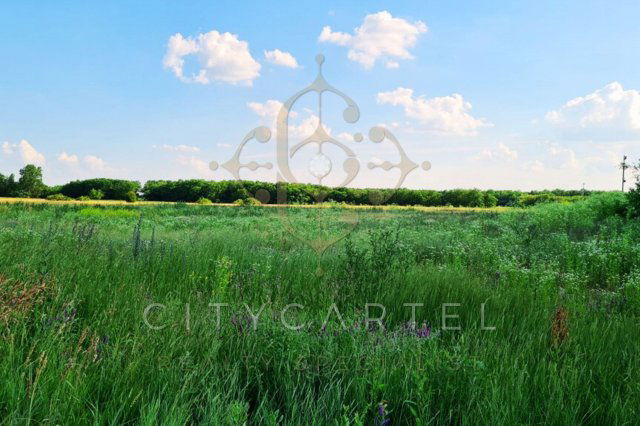 Eladó telek, Vecsésen 296.64 M Ft / költözzbe.hu