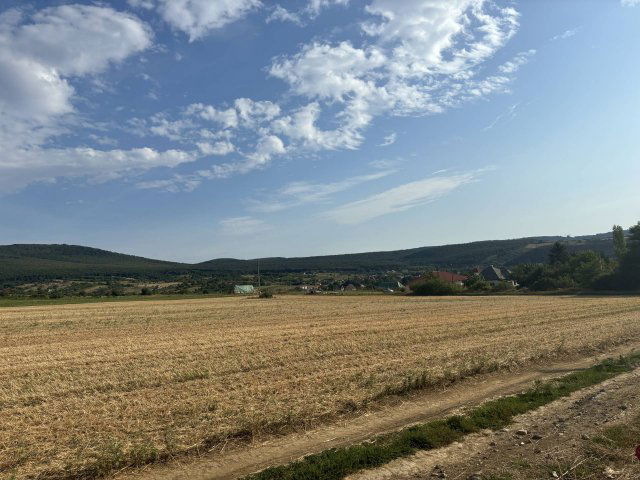 Eladó telek, Kosdon 29.99 M Ft / költözzbe.hu