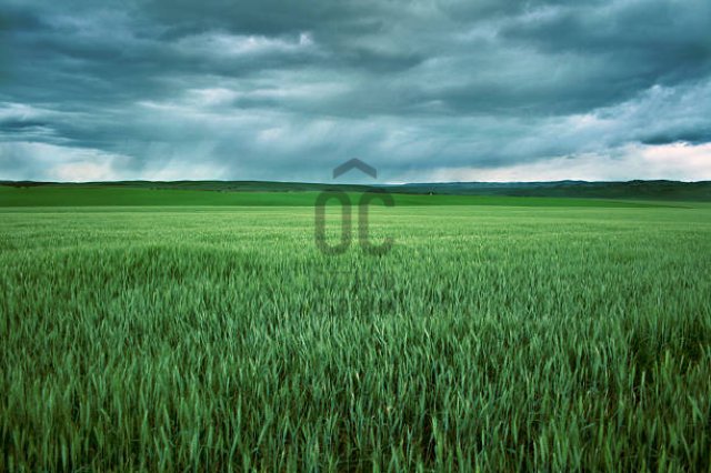 Eladó mezogazdasagi ingatlan, Vecsésen 19.9 M Ft