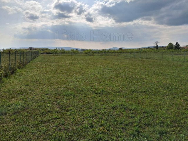 Eladó telek, Balatonakaliban 77.85 M Ft / költözzbe.hu